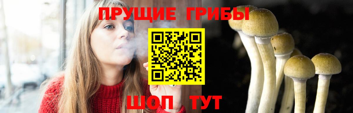Галлюциногенные грибы мицелий  Псилоцибиновые грибы MAGIC MUSHROOMS  Владикавказ  Вход с VPN 